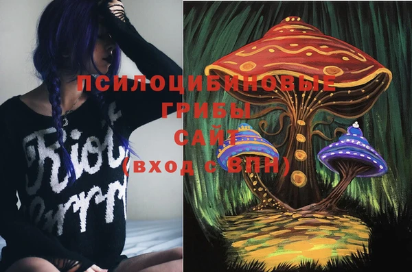 тгк Арсеньев