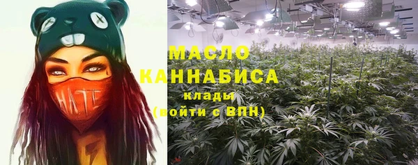 шишки Баксан