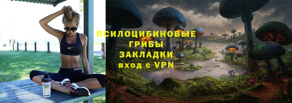 тгк Арсеньев